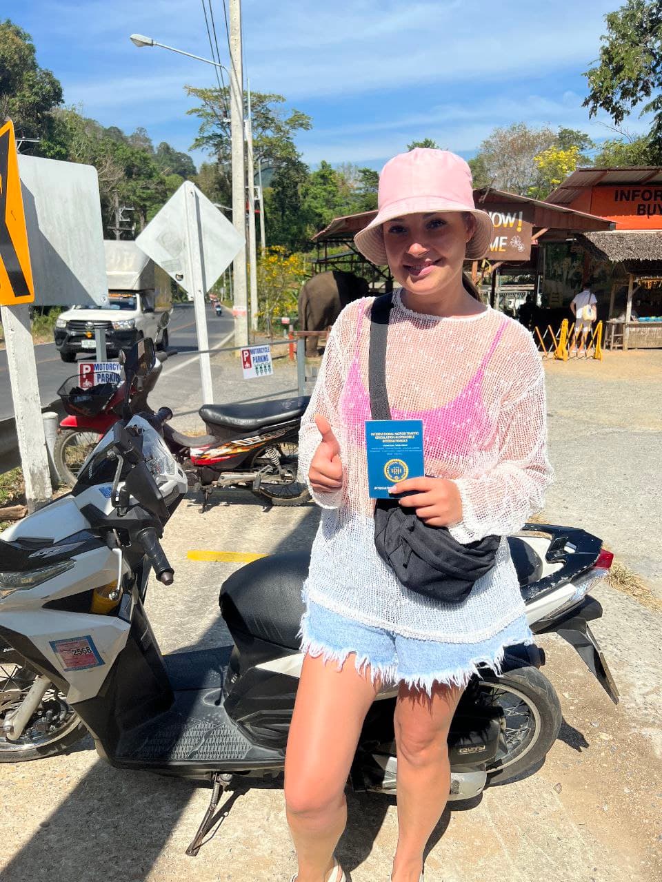 International Driving Permit example